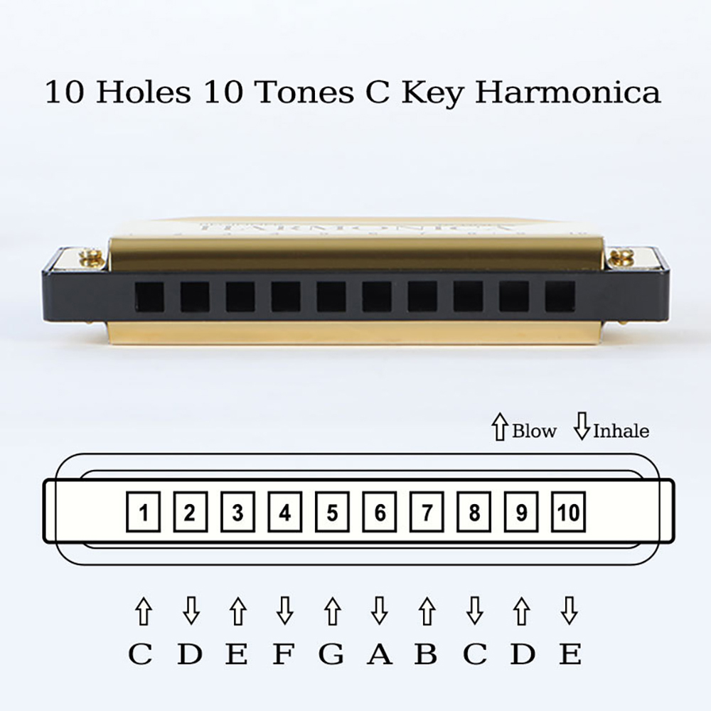 Harmonika Blues Harp 10 Lubang - Harmonica 10 Hole ulasan dan harga