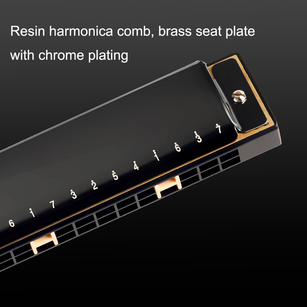 Guoguang Tremolo Harmonika 24  - Harmonica 10 Hole ulasan dan harga