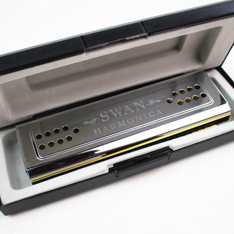 Instrumen tiup kayu Organ harm - Harmonica 10 Hole ulasan dan harga