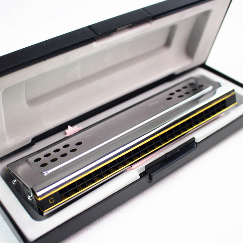 Instrumen tiup kayu Organ harm - Harmonica 10 Hole ulasan dan harga