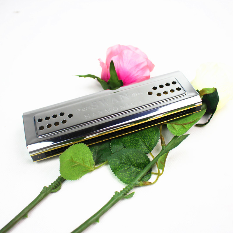 Instrumen tiup kayu Organ harm - Harmonica 10 Hole ulasan dan harga